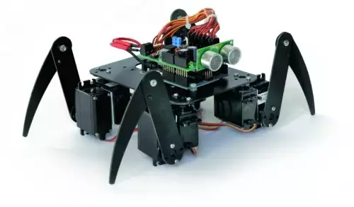 spider robot inside